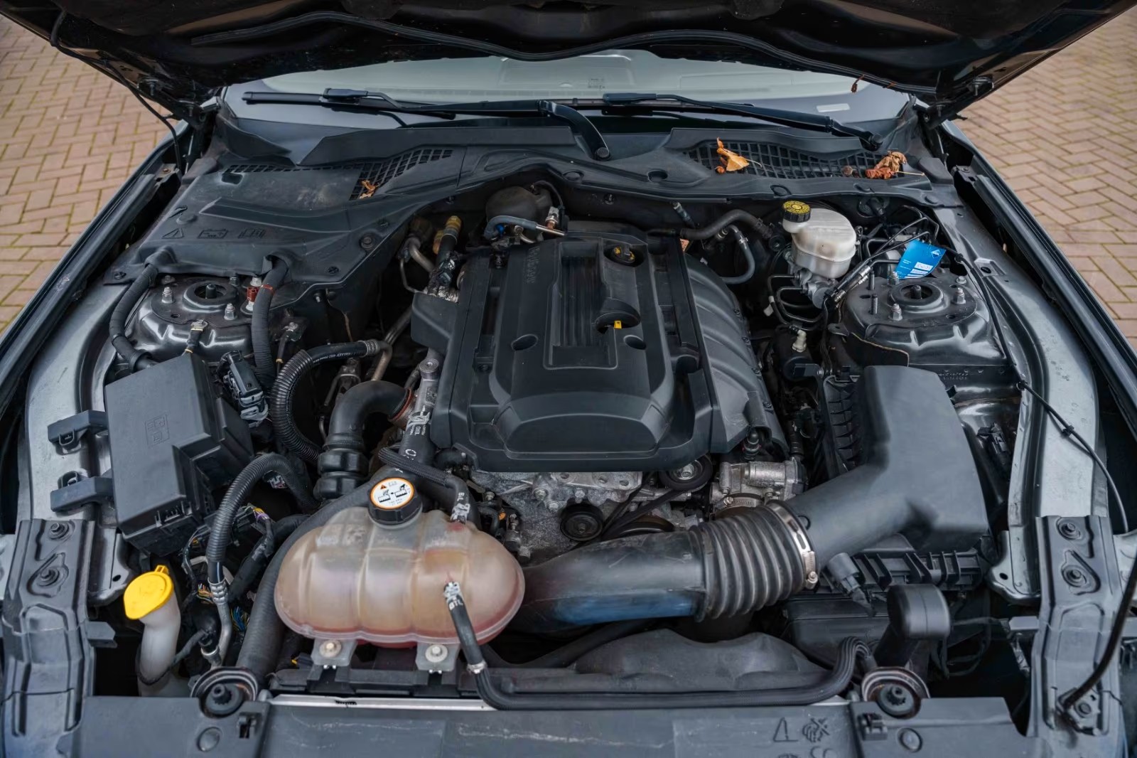 2.3 EcoBoost engine bay