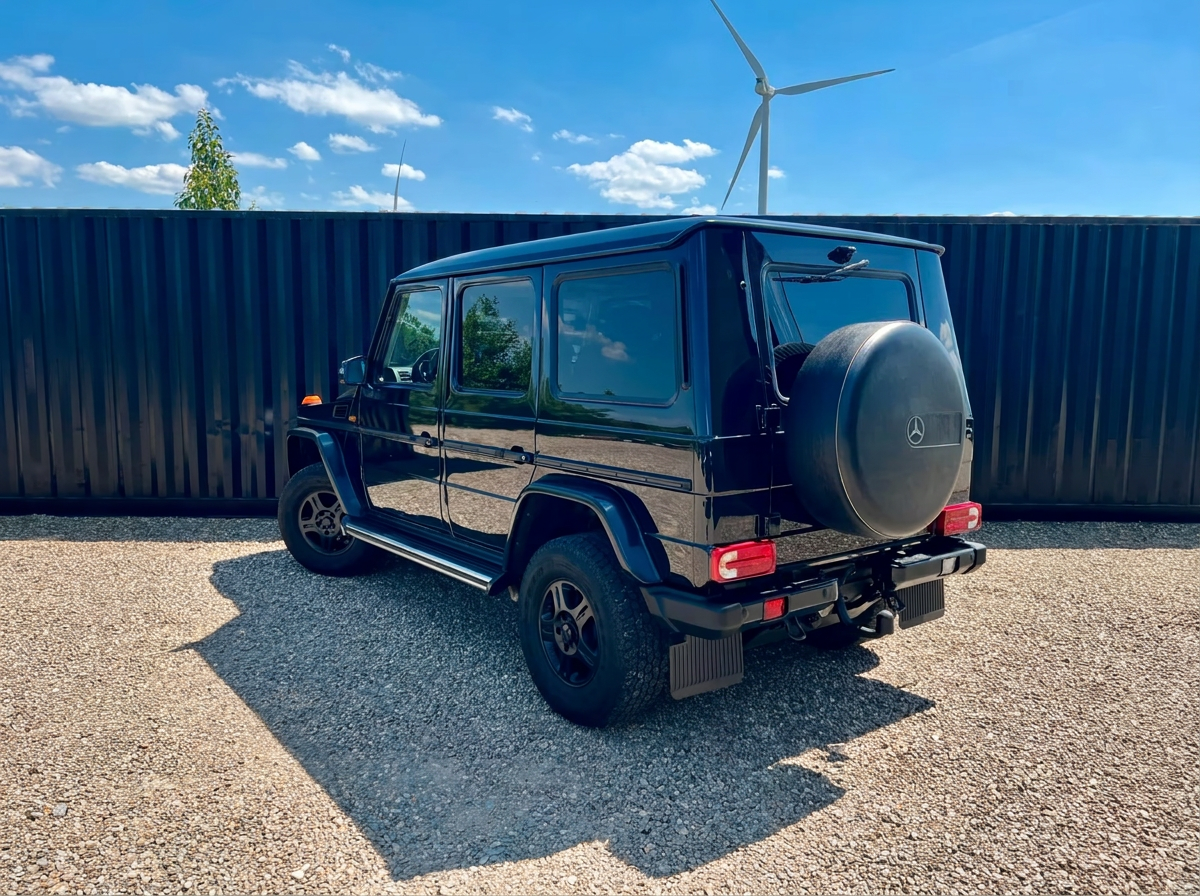 Mercedes-Benz G 350 d Professional 2018 — rear three-quarter view with spare wheel