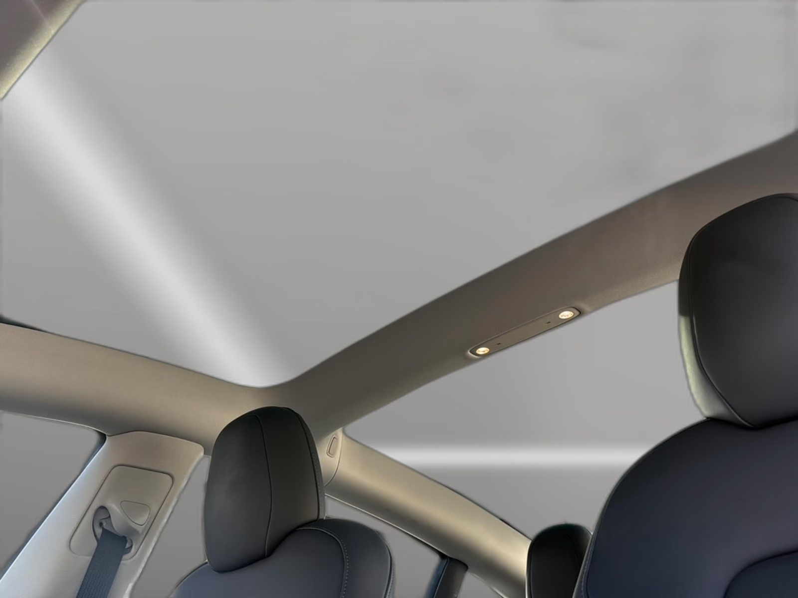 View through the fixed glass roof of the Tesla Model 3 above the black seats.